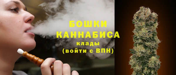 индика Балабаново