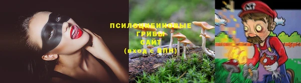 индика Балабаново