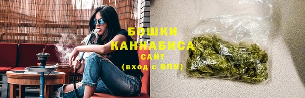 индика Балабаново