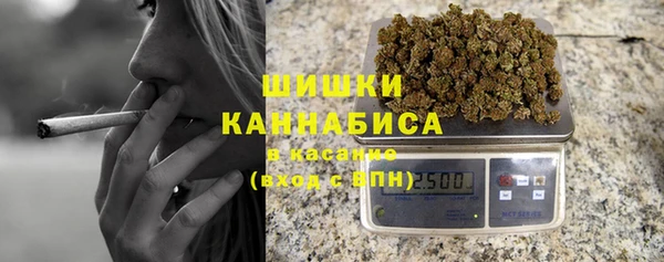 индика Балабаново